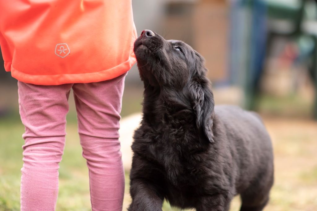 Un bébé recherche toujours sa famille !